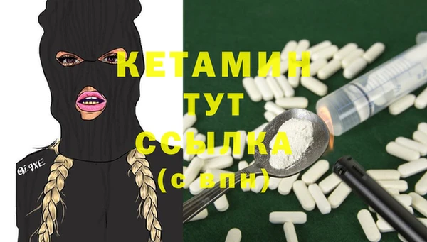 шишки Армянск