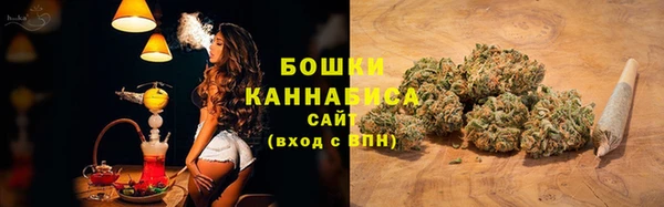 PSILOCYBIN Аркадак