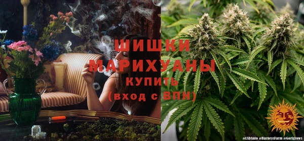 PSILOCYBIN Аркадак