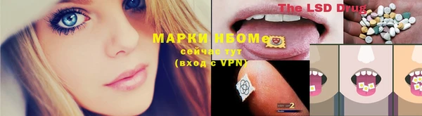 PSILOCYBIN Аркадак