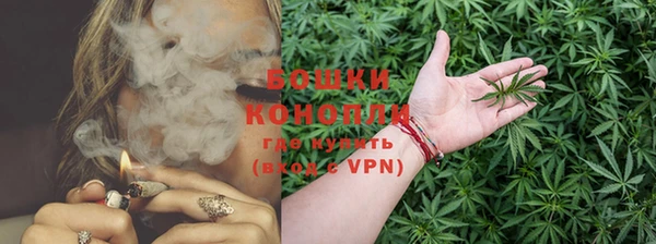 шишки Армянск