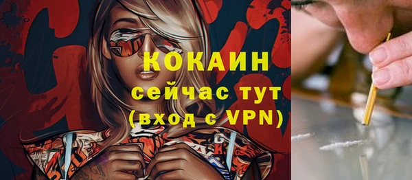 шишки Армянск