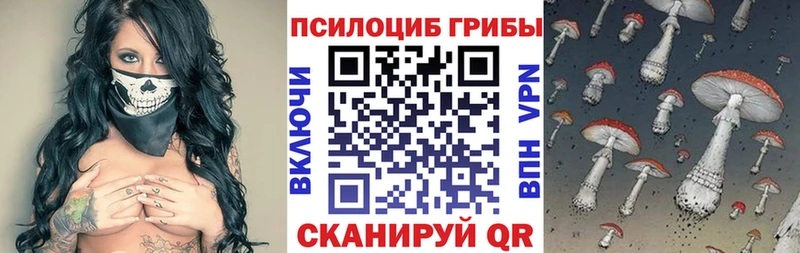 Галлюциногенные грибы Cubensis  даркнет сайт  Биробиджан 